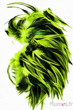 Hahnenkreuz Badger - 10-15 cm - limettengrün